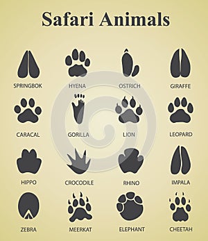 Set of safari animal tracks