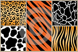 Set safari jungle animal fur stripe animals bengal tiger giraffe texture pattern white black orange