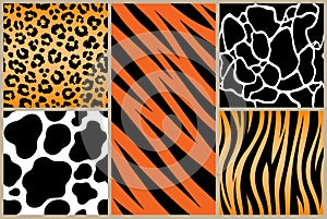 Set safari jungle animal fur stripe animals bengal tiger giraffe texture pattern white black orange photo