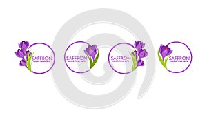 set of saffron logo vector, purple flower logo template