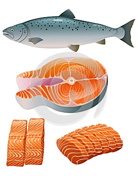 Set salmon illustration. Fillet, steak and fish salmon in cartoon style.