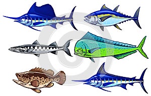 Set of saltwater game fish