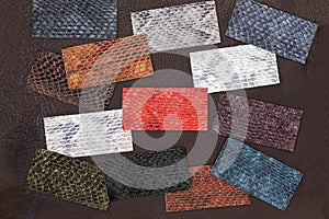 Set of samples of leather, embossed under exotic skin reptile, colorful pieces on dark background