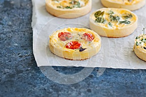 Set of savory mini tarts on a baking paper. Vegetable quiches wi