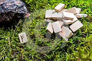 A set of Scandinavian runes made on wooden planks lies on a natural moss, next to the Fehu rune, attracting wealth.
