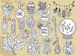 Set of scary Halloween traditional symbols and objects with witch bottles, herbs and magic potion