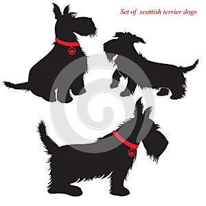 Set of scottish terrier dogs