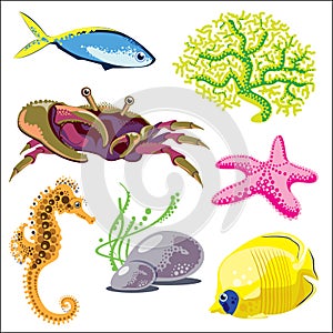 Set of Sea Animals