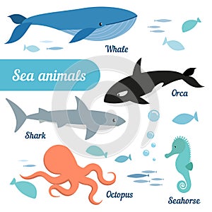 Set of sea animals