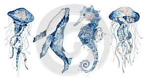 Set of sea animals. Blue watercolor ocean fish, Medusa, whale, seahorse