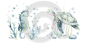 Set of sea animals. Blue watercolor ocean fish, turtle, sea horse whale and coral. Shell aquarium background. Nautical