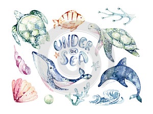 Set of sea animals. Blue watercolor ocean fish, turtle, whale and coral. Shell aquarium background. Nautical wildlife