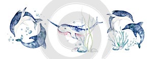 Set of sea animals. Blue watercolor ocean fish, turtle, whale and coral. Shell aquarium background. Nautical wildlife photo