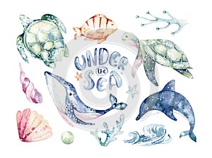 Set of sea animals. Blue watercolor ocean fish, turtle, whale and coral. Shell aquarium background. Nautical wildlife photo