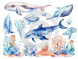 Set of sea animals. Blue watercolor ocean fish turtle whale and coral. Shell aquarium background. Nautical wildlife