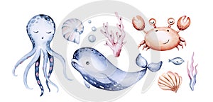 Set of sea animals. Blue watercolor ocean fish, turtle, whale and coral. Shell aquarium mermaid submarine. Nautical dolphin marine