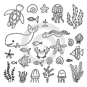 Set of sea animals in hand drawn style. Ocean life. Underwater, under the sea, marine