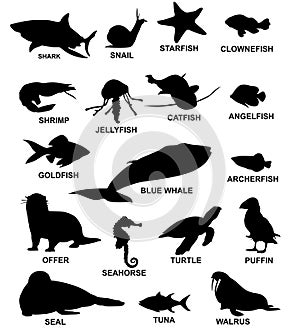 Set of sea animals silhouettes. vector illustration.