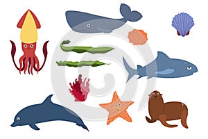 Set of sea animals - squid sperm whale shark dolphin starfish fur seal . Undersea world habitants print.