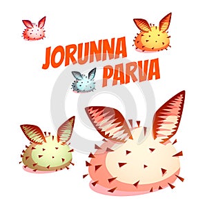 Set of sea cute slug Jorunna Parva. Vector