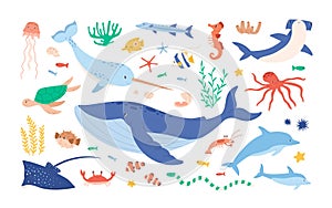 Set of sea and ocean underwater animals. Cute aquatic turtle, whale, narwhal, dolphin, octopus and colorful fishes