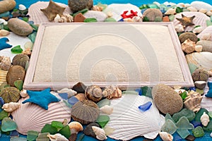 Set sea shell decorative frame place for text.