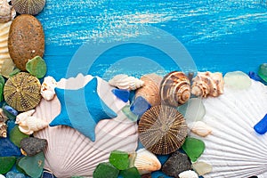 Set sea shell decorative frame place for text.