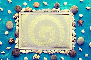 Set sea shell decorative frame place for text.