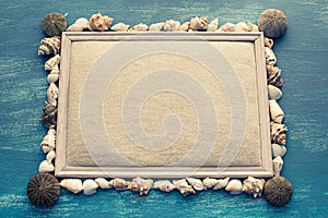 Set sea shell decorative frame place for text.