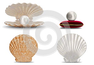 Set of sea shell with pearl inside. Collection gems, women`s jewelry, nacre beads. Pearl on red velvet pillow. Set sea