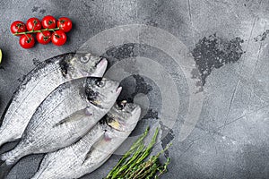 Set of seabream or Gilt head bream orata fish with herbs pepper lime tomato for cooking and grill on grey textured background, top