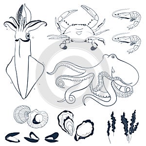 Set of seafood hand drawn elements.