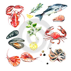 Set of seafood watercolor.