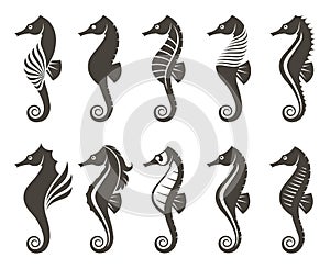 Set of seahorse