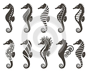 Set of seahorse