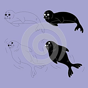 Set of seal pups in different poses. Lying and swimming sea polar animals. Outline and simple style vector illustration. Isolated