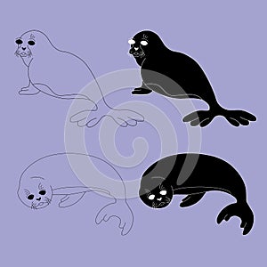 Set of seal pups sitting and lying in different poses. Outline and simple style vector illustration. Isolated design element