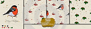 Set with seamless Christmas patterns and poster with bullfinch.