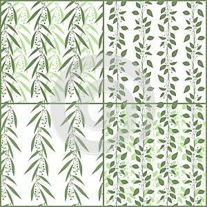 Set of seamless pattern branches of eucalyptus and Camphor laurel. Vector green floral backgrounds