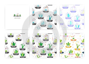 Set of seamless pattern with cactuses In glass terrariums. Vector illustrations.