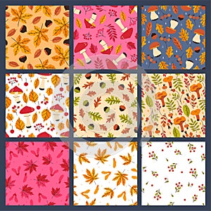 Set of seamless patterns with autumn mushrooms, leaves, berries. Vector graphics
