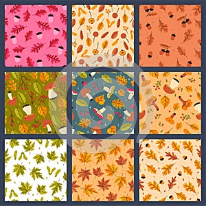 Set of seamless patterns with autumn mushrooms, leaves, berries. Vector graphics