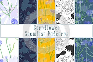 Set of the seamless patterns with Cornflowers