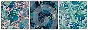 Set of seamless patterns with exotic green monstera leaves and palm branches, summer tropical backgrounds