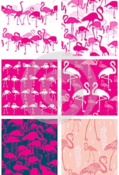 Set of Seamless patterns with flamingoes
