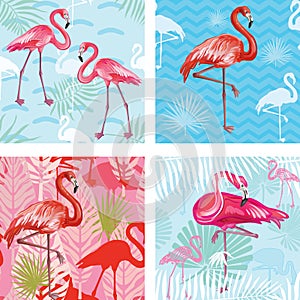 Set of Seamless patterns with flamingoes