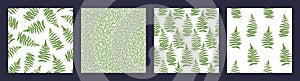 Set of seamless patterns print with vector hand drawn creative, artistic branch , fern, abstract texture print, spots, dot.