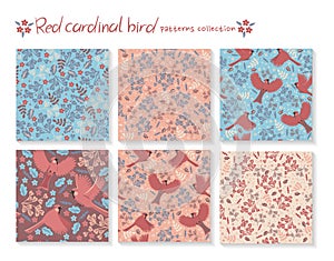Set of seamless patterns with red cardinal birds and with floral elements. Vector graphics