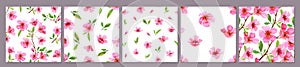 Set of seamless patterns watercolor cherry blossom flowers. Sakura beautiful spring floral collection. Colorful illustration on