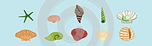 Set of seashells cartoon icon design template with various models. vector illustration isolated on blue background
